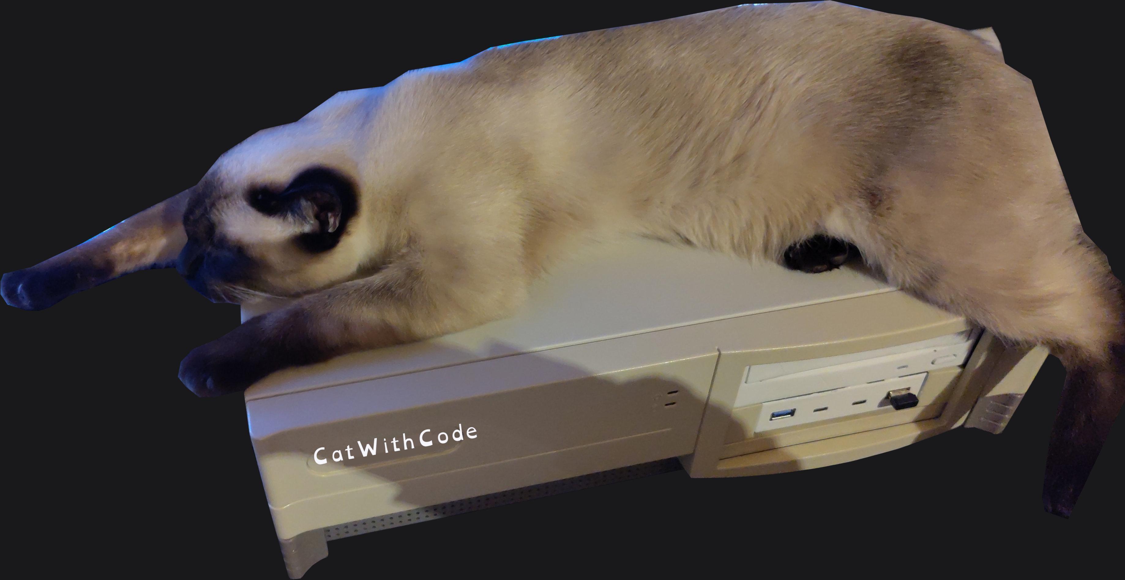 01 Sleeper PC with cute cat on it sleeping.